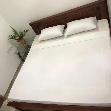 Danas Villa-2